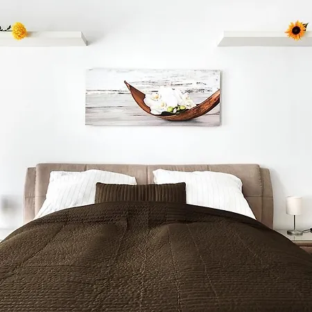 Apaczai 17 Cozy Elegance Near Chain Bridge * Boedapest
